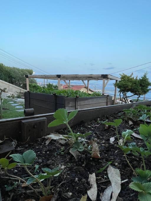 Superbe Terrasse Avec Vue Panoramique Sur La Mer Marsella Exterior foto